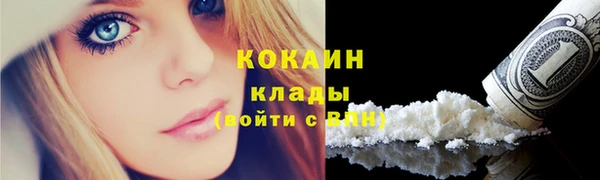 амф Козловка