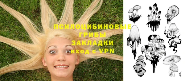 амф Козловка