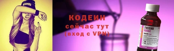 амф Козловка