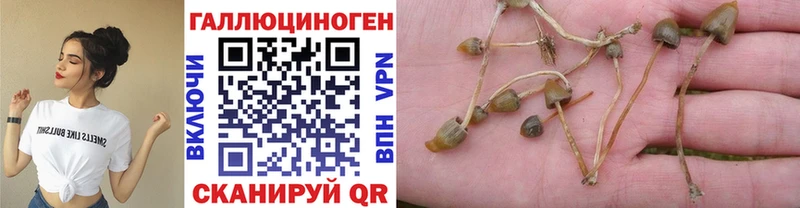 Галлюциногенные грибы Cubensis  Купить закладки  Краснокаменск 